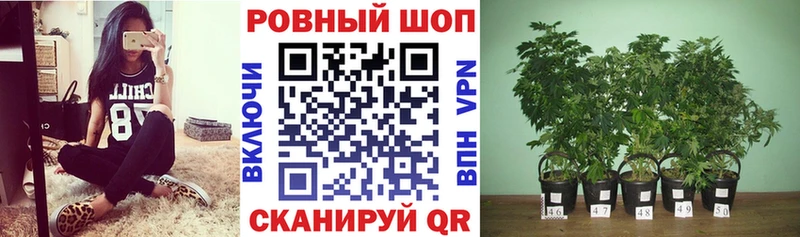 Как найти закладки Валдай Гашиш  COCAIN  кракен ТОР  Меф мяу мяу  СОЛЬ 