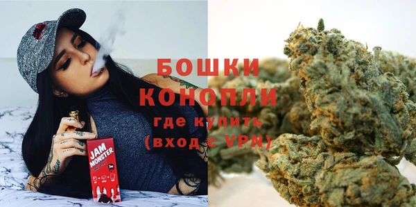 spice Аркадак