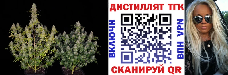 где найти   Валдай  ссылка на мегу ссылки  Дистиллят ТГК Wax 